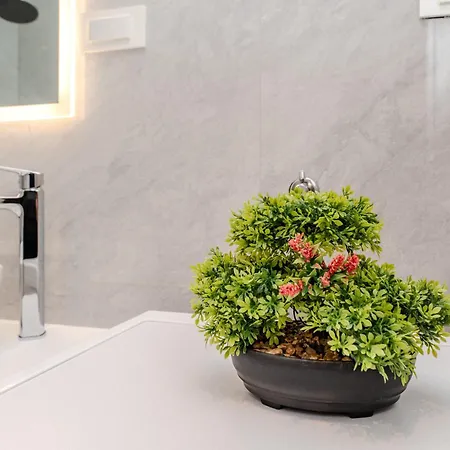 Kolovare Luxury Apartament Zadar